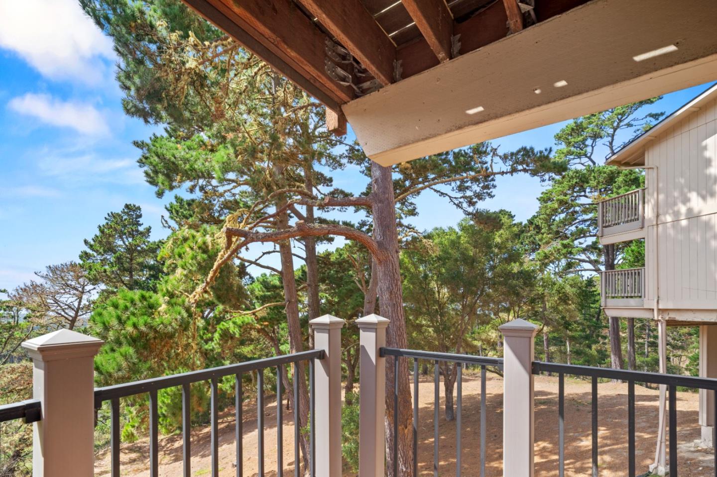 250 Forest Ridge RD 45