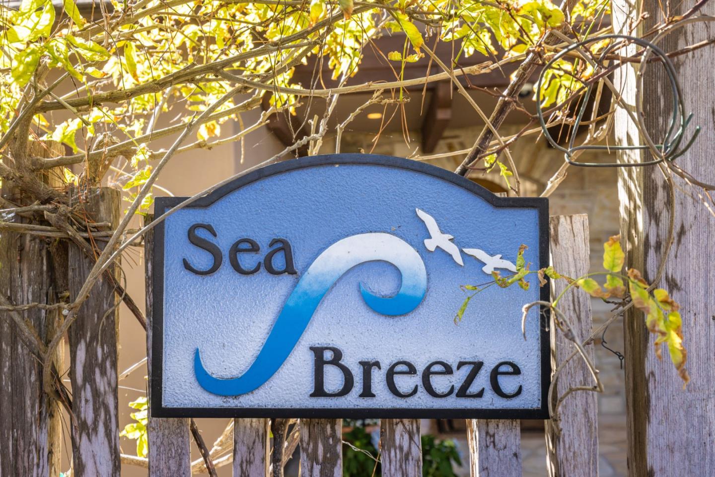 0 Southeast Corner of Monte Verde & 10th Avenue, CARMEL, CA 93921