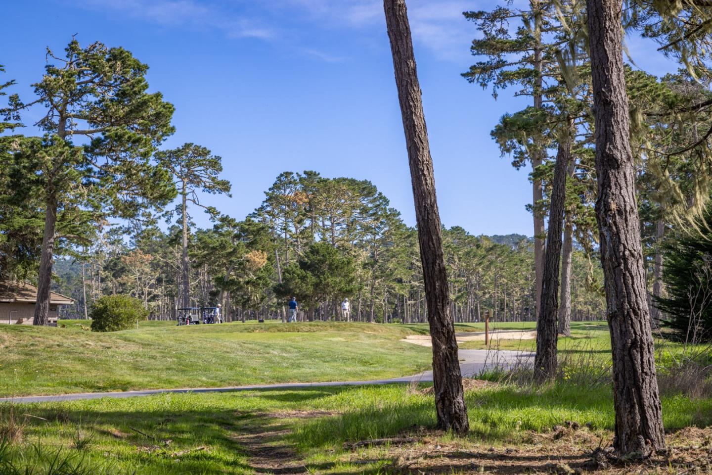 1401 Viscaino Road, PEBBLE BEACH, CA 93953