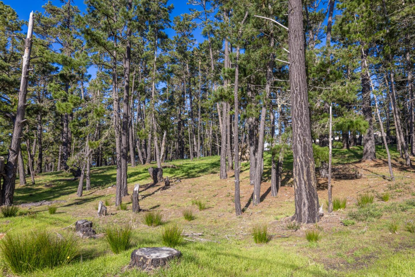 1401 Viscaino Road, PEBBLE BEACH, CA 93953