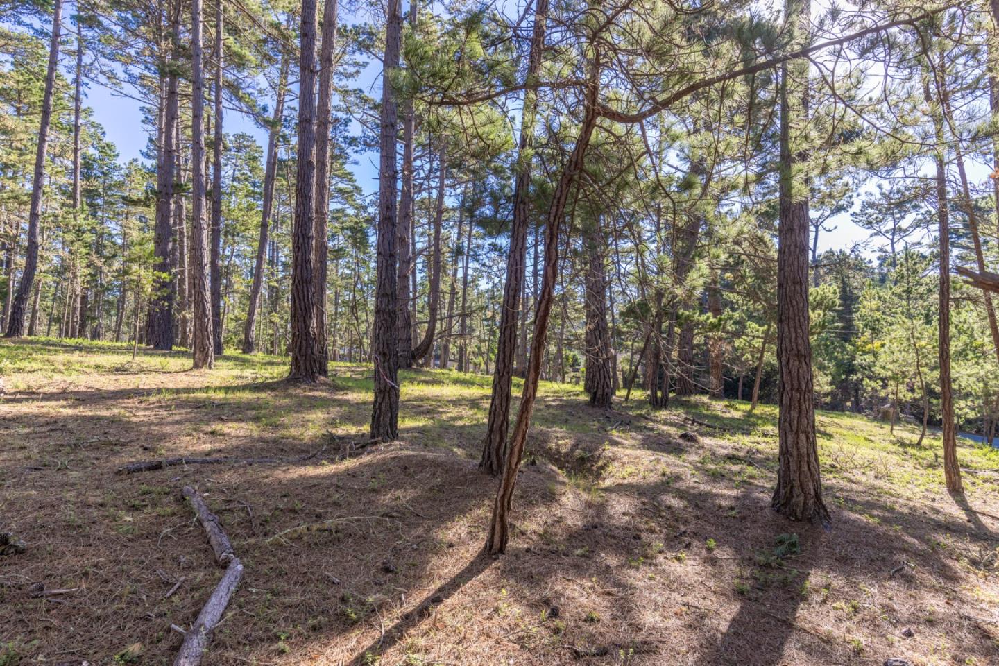 1401 Viscaino Road, PEBBLE BEACH, CA 93953