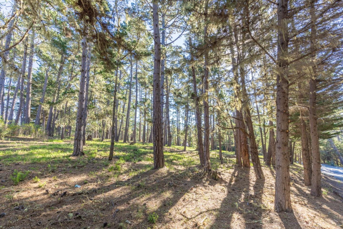 1401 Viscaino Road, PEBBLE BEACH, CA 93953