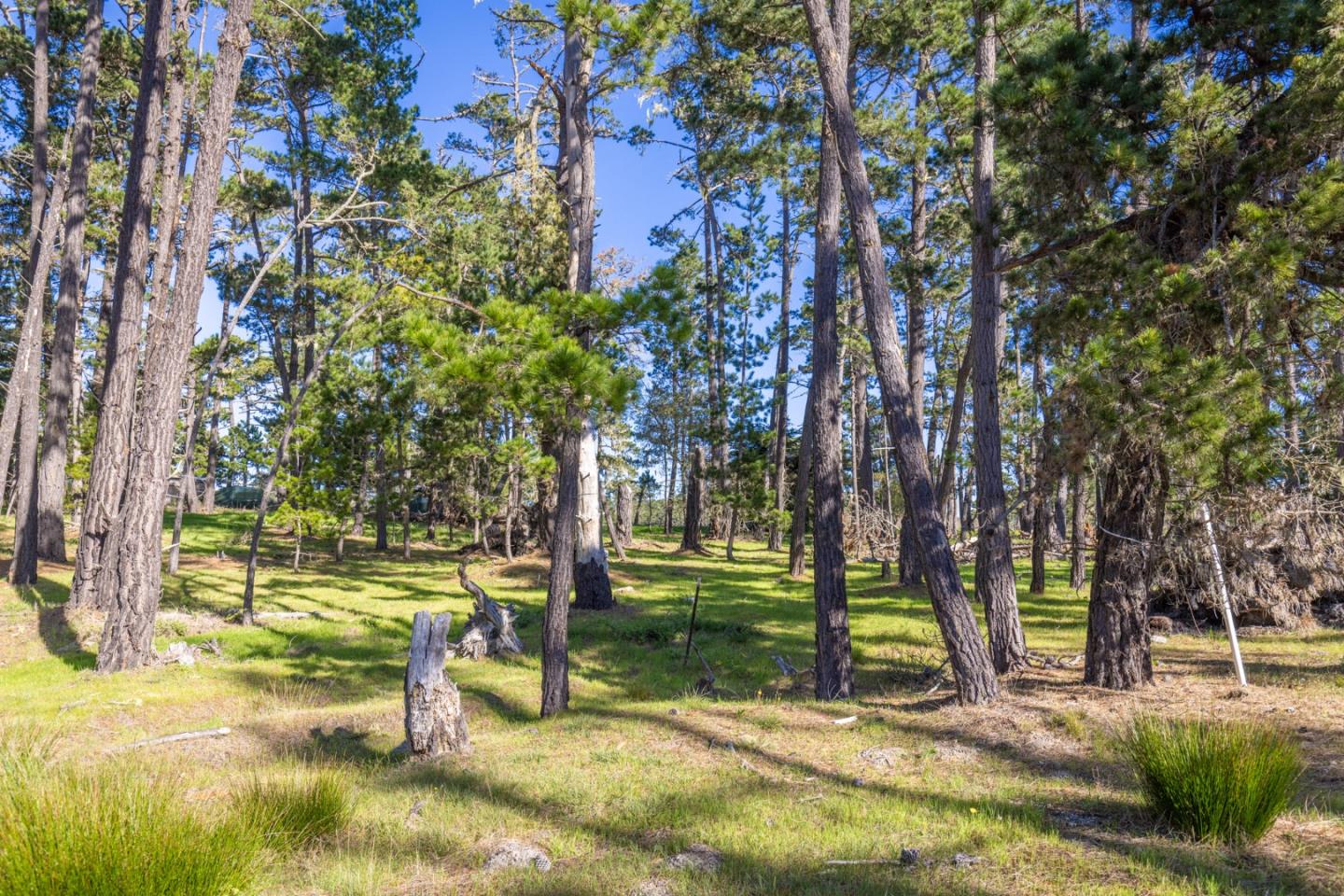 1407 Viscaino Road, PEBBLE BEACH, CA 93953