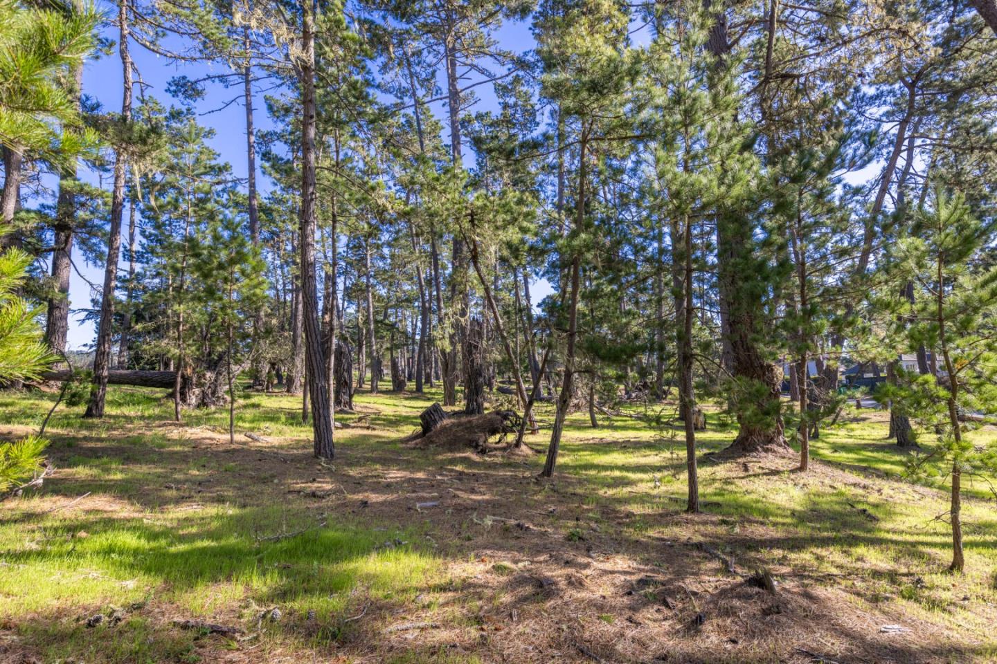 1407 Viscaino Road, PEBBLE BEACH, CA 93953