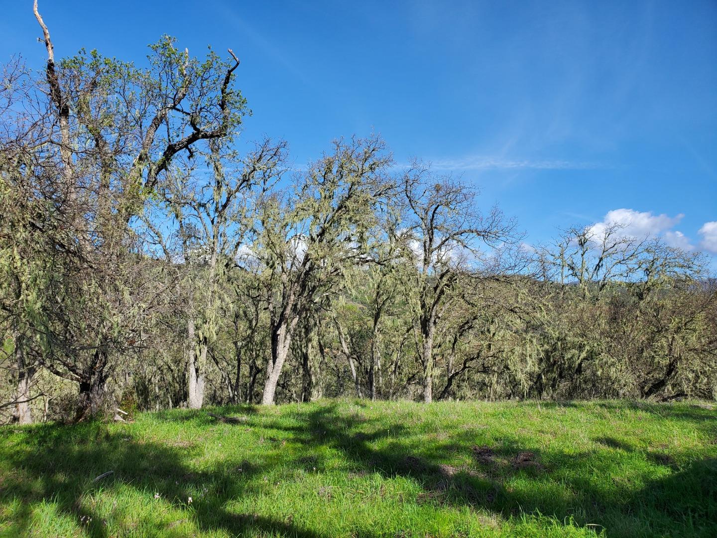 0 CACHAGUA ROAD