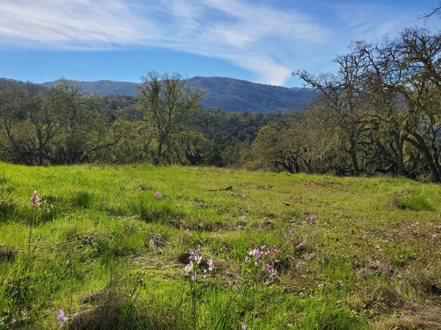 0 CACHAGUA ROAD