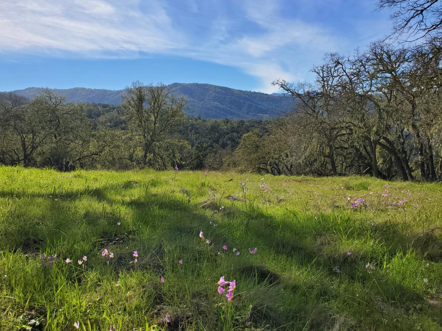 0 CACHAGUA ROAD