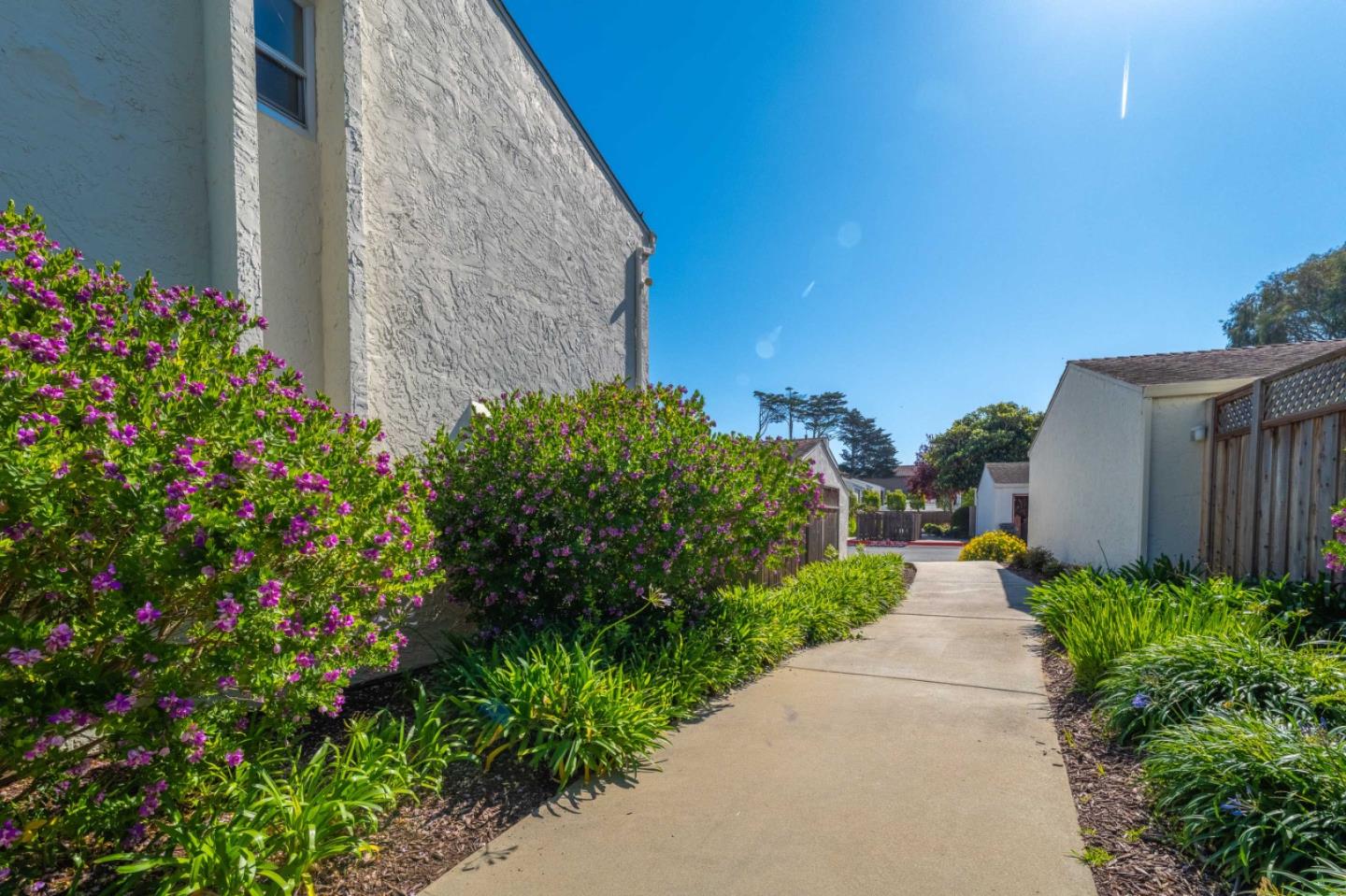 3137 Seacrest Avenue 6