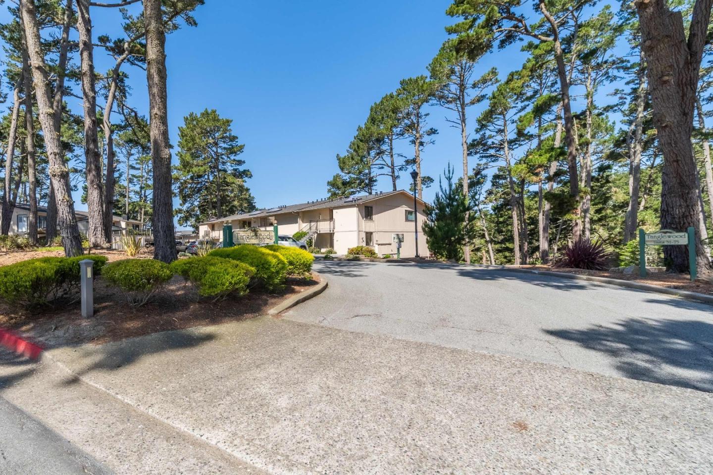 250 Forest Ridge RD 67