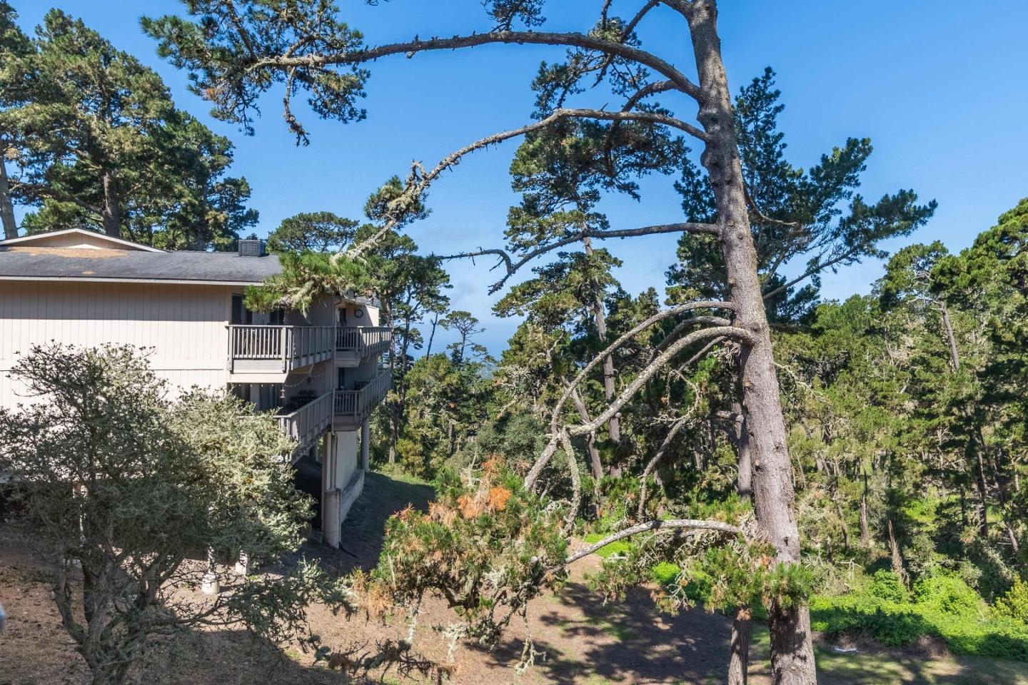 250 Forest Ridge RD 67