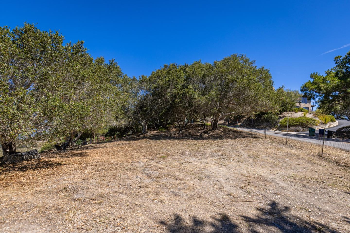 25330 Tierra Grande Drive