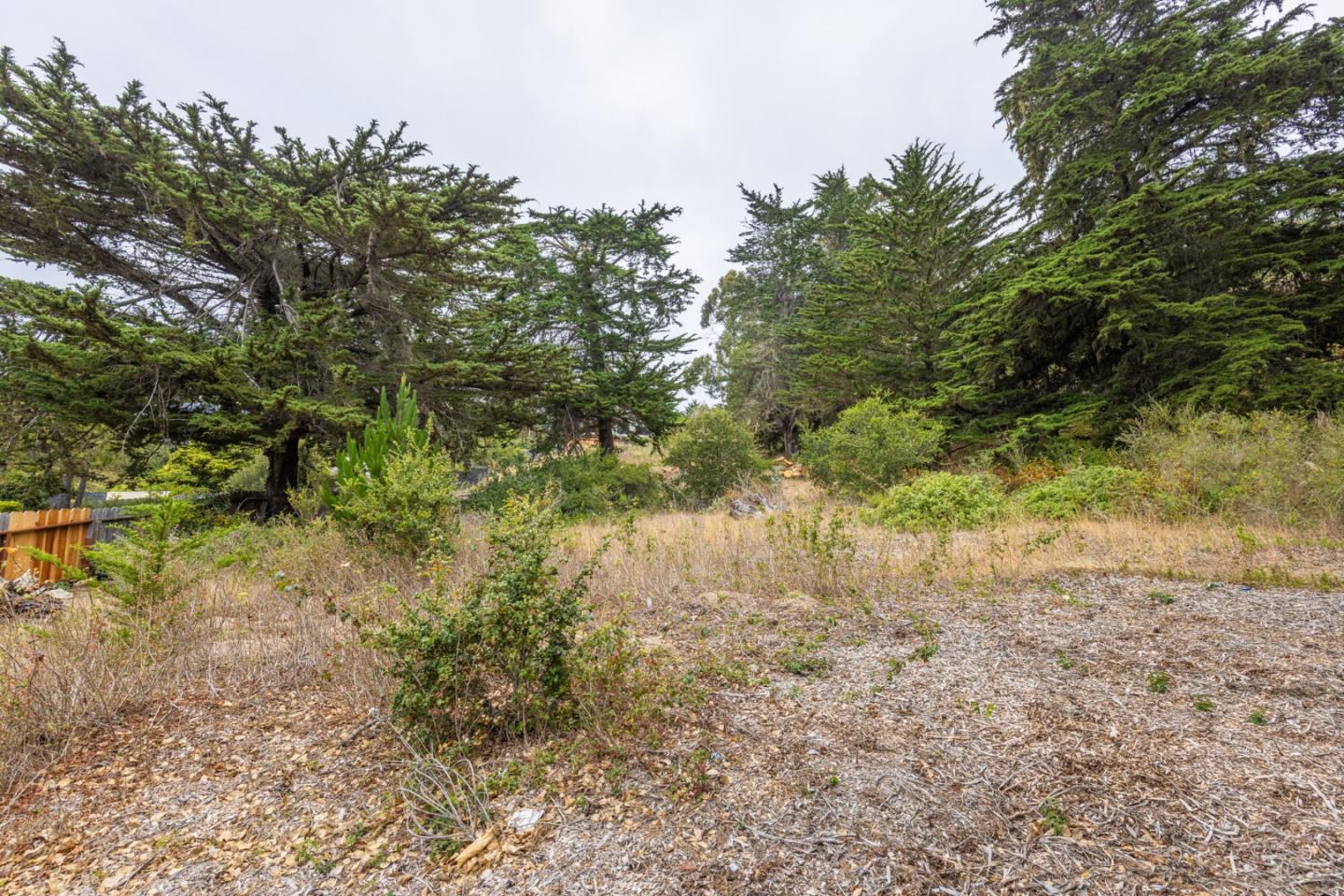 18 Yankee Point Drive