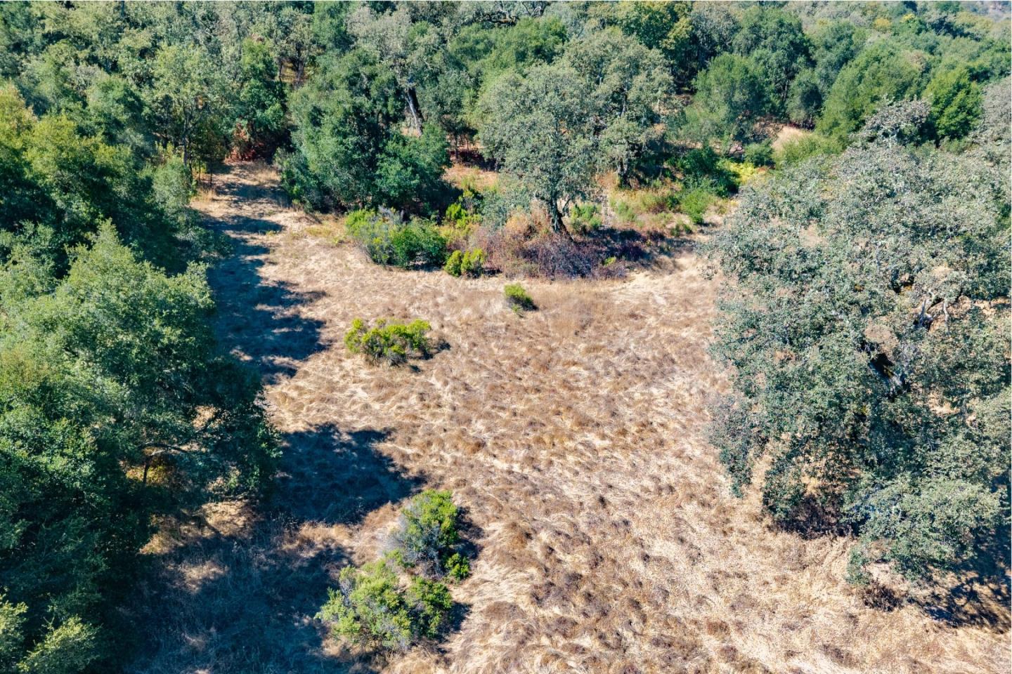 2 Arroyo Sequoia