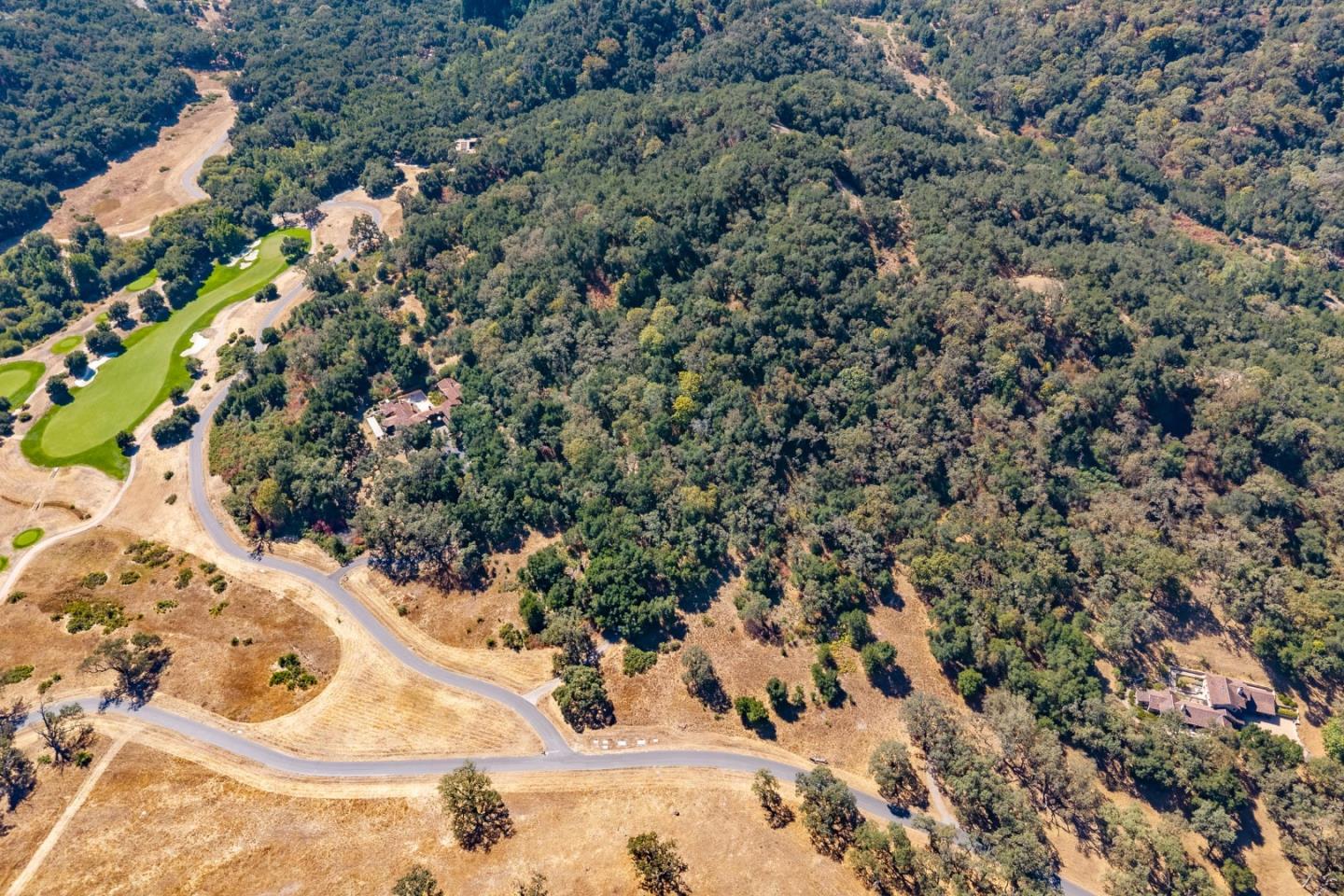 2 Arroyo Sequoia