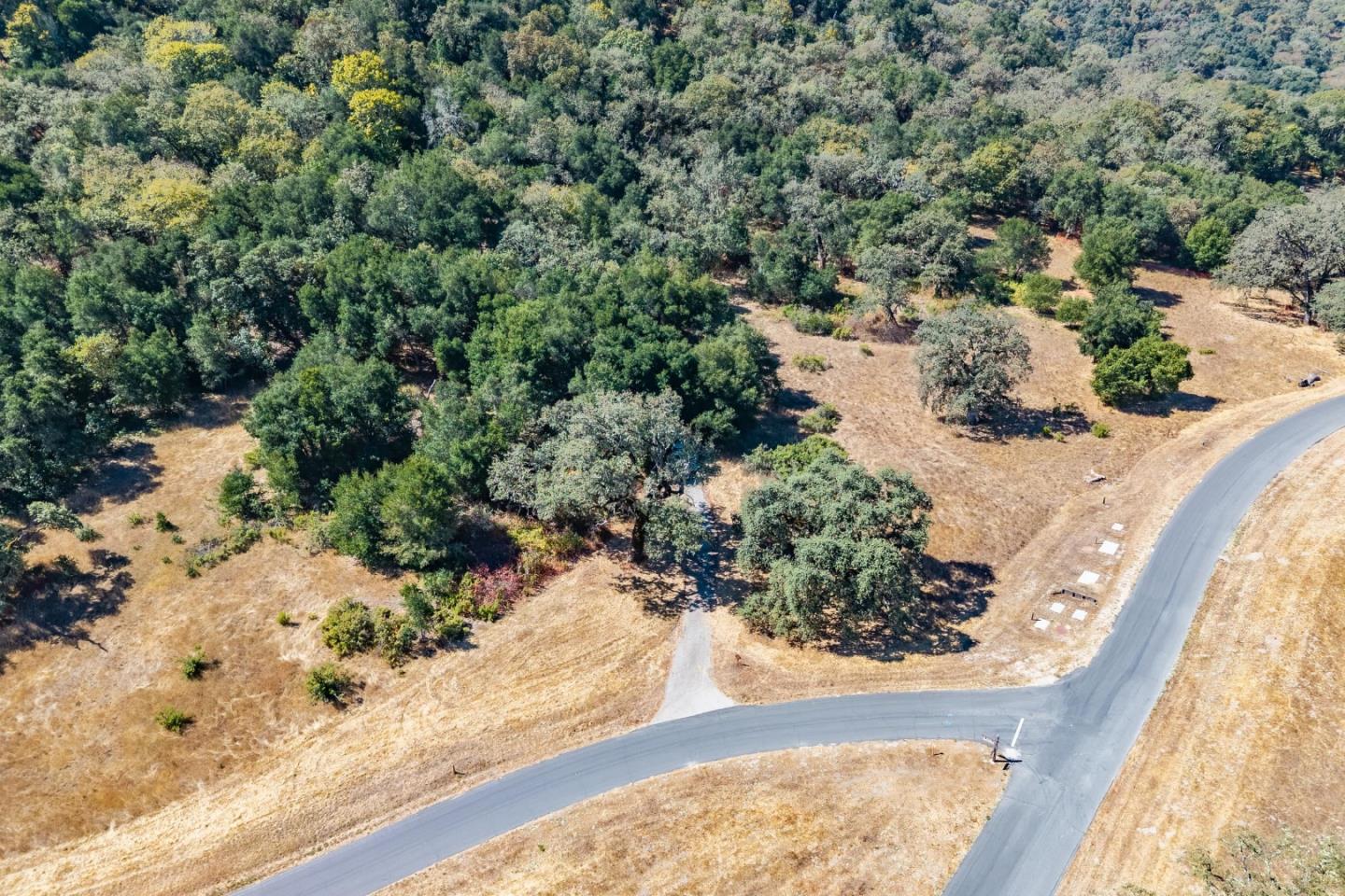 2 Arroyo Sequoia