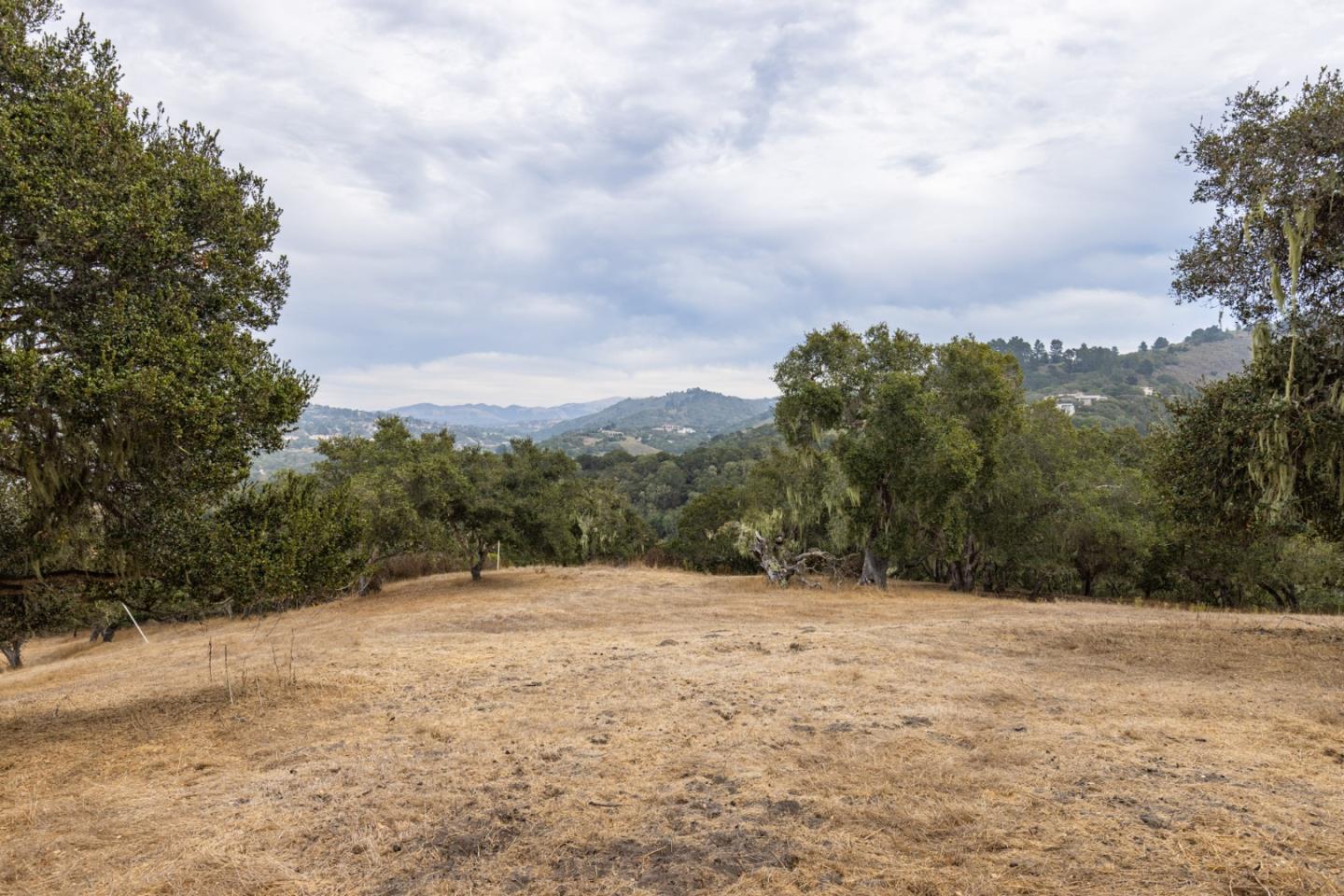 7572 Paseo VIS
