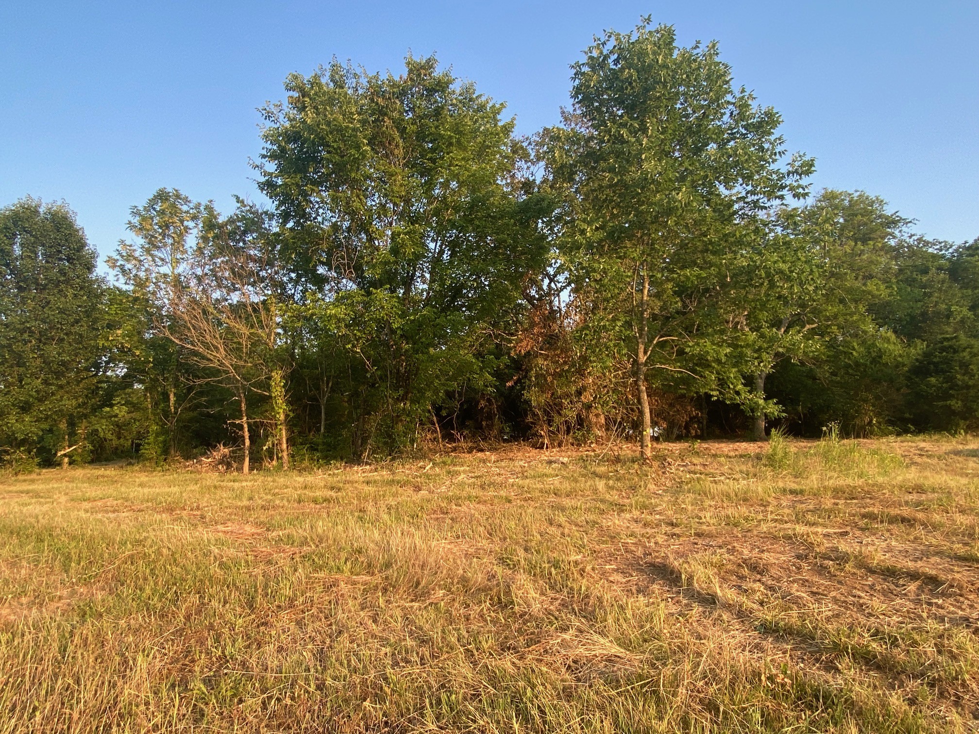 4650 Lebanon Rd