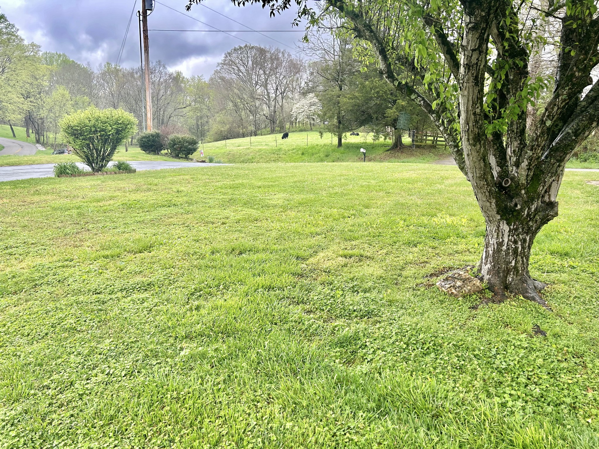 1004 Old Woodbury Hwy