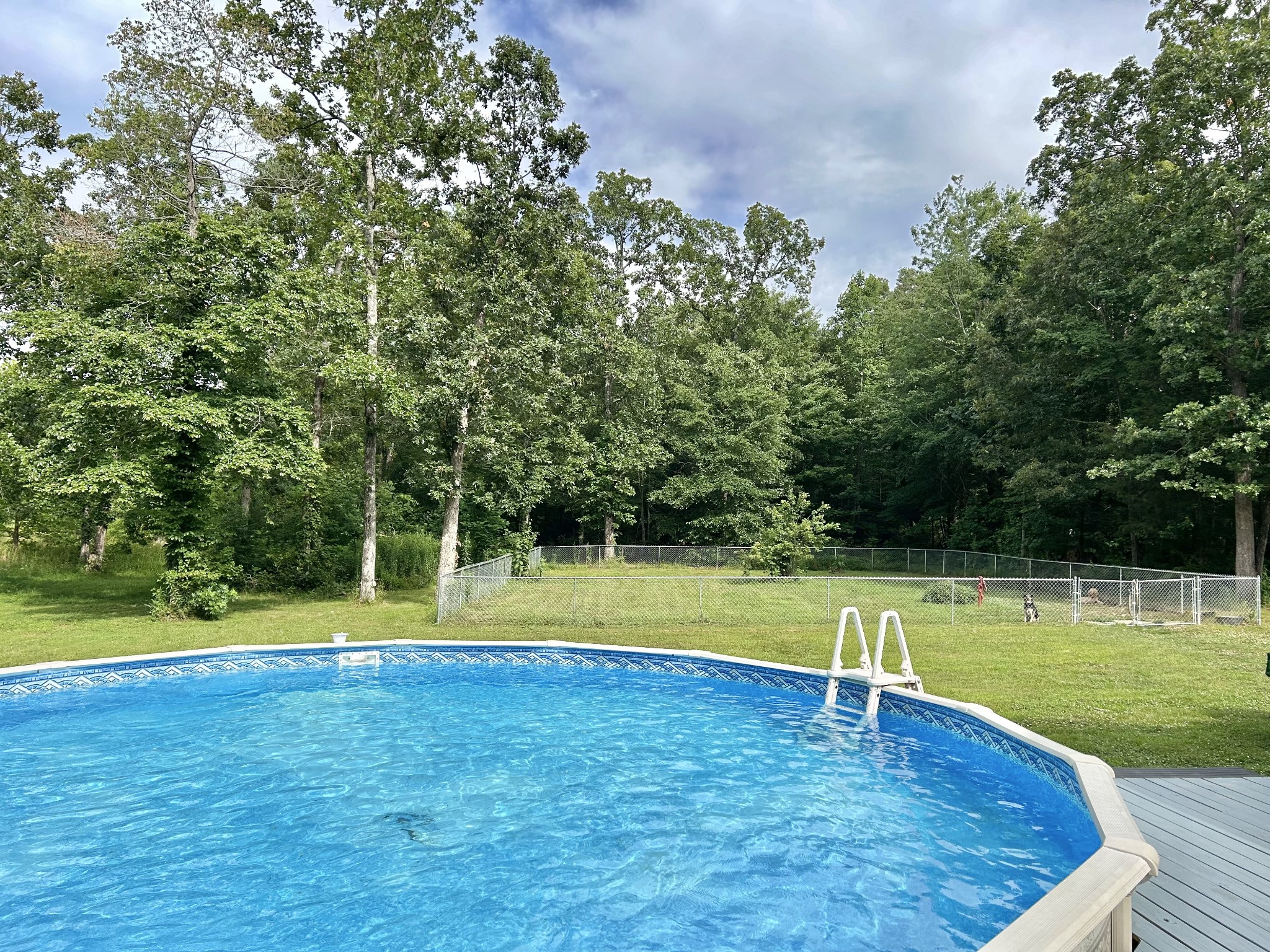 795 Cat Creek Rd