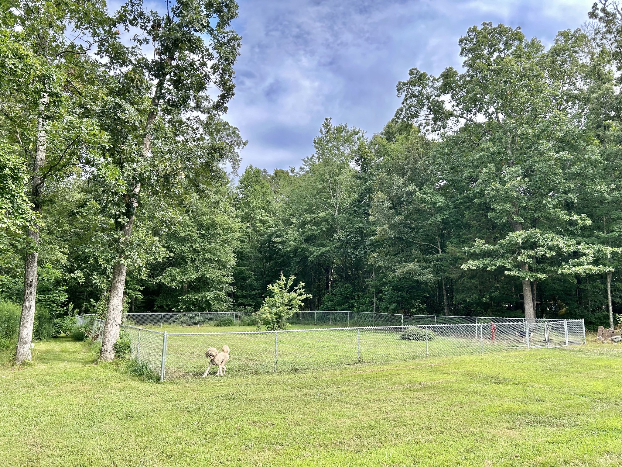 795 Cat Creek Rd