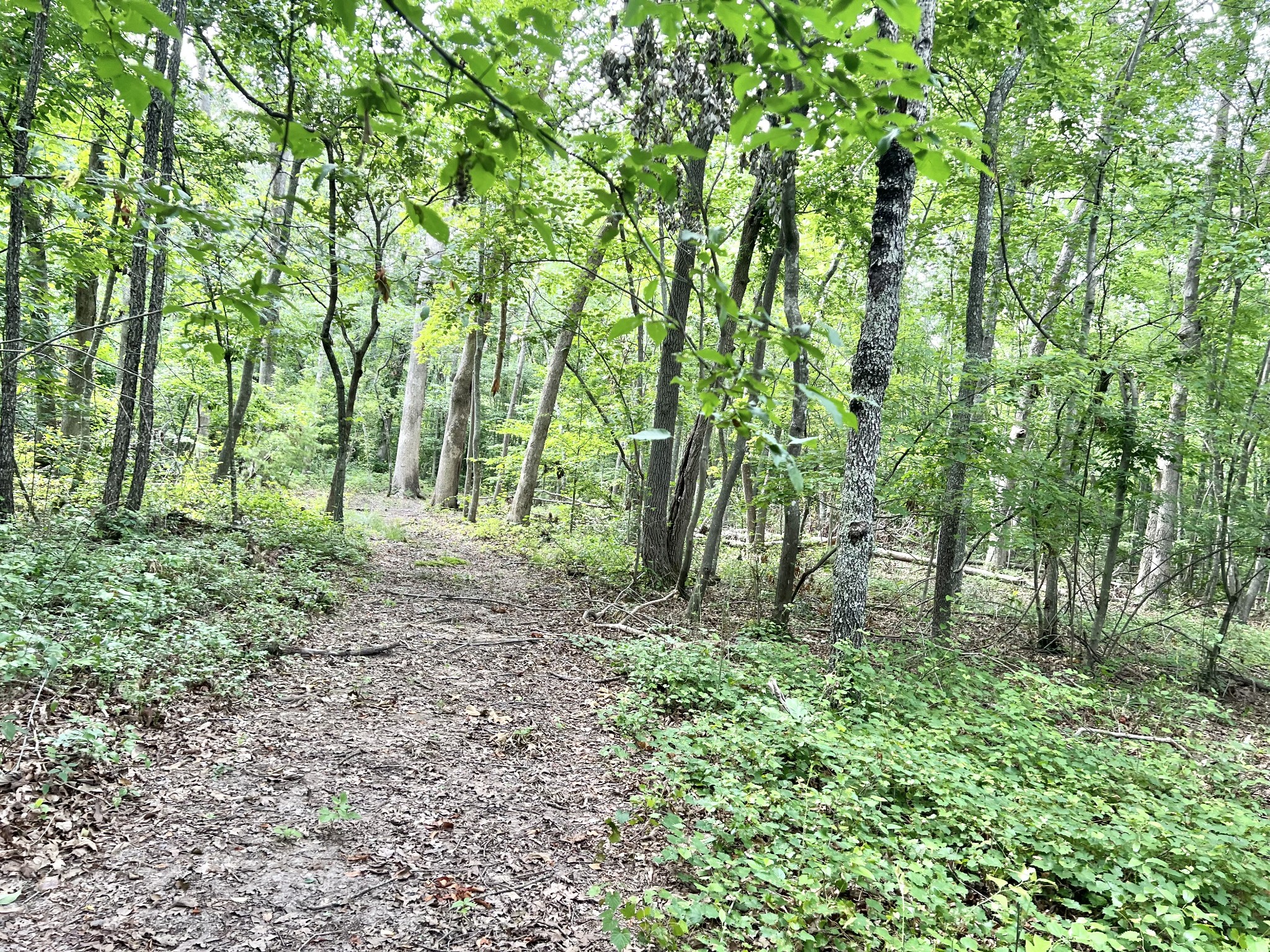795 Cat Creek Rd
