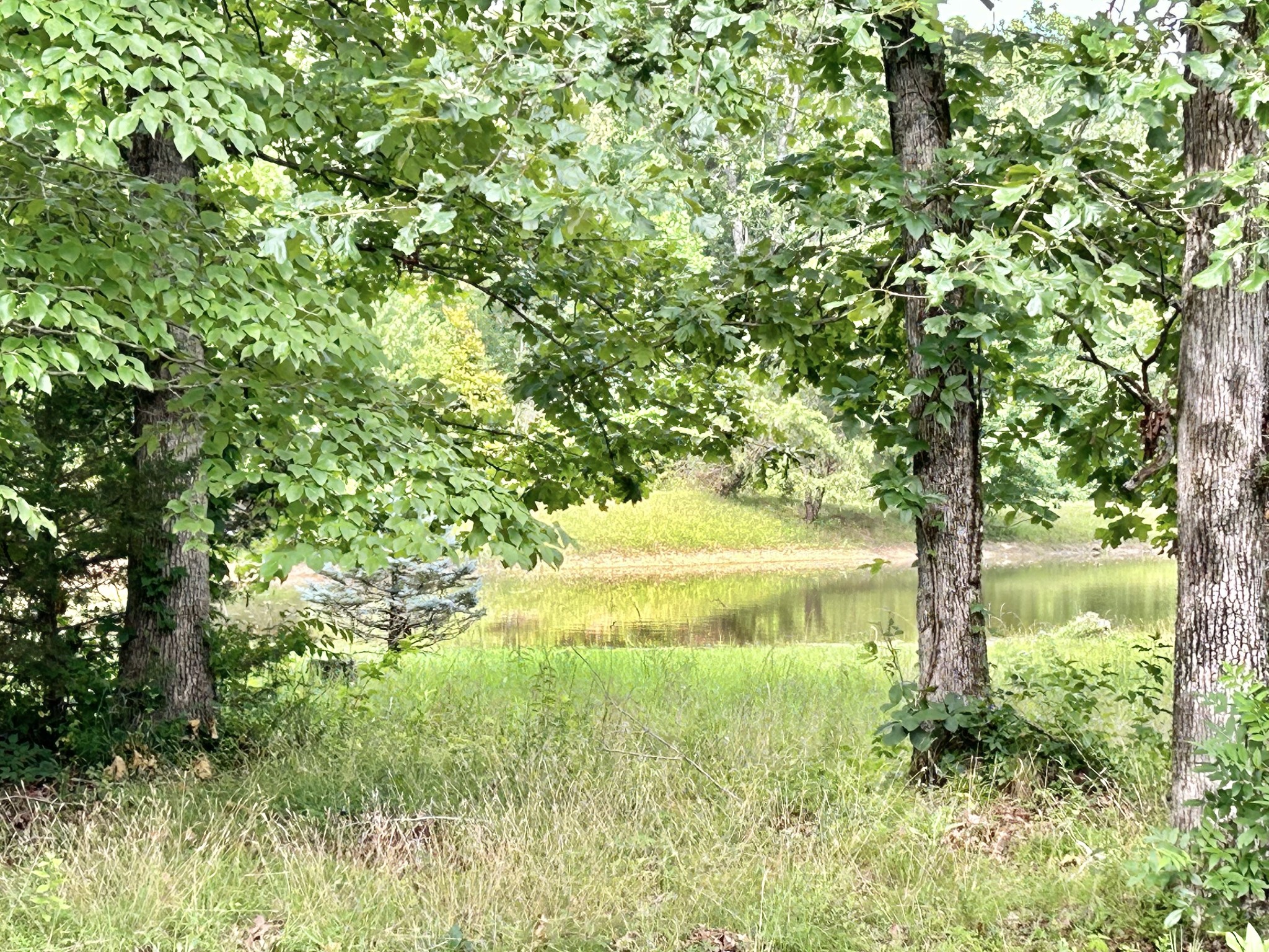 795 Cat Creek Rd