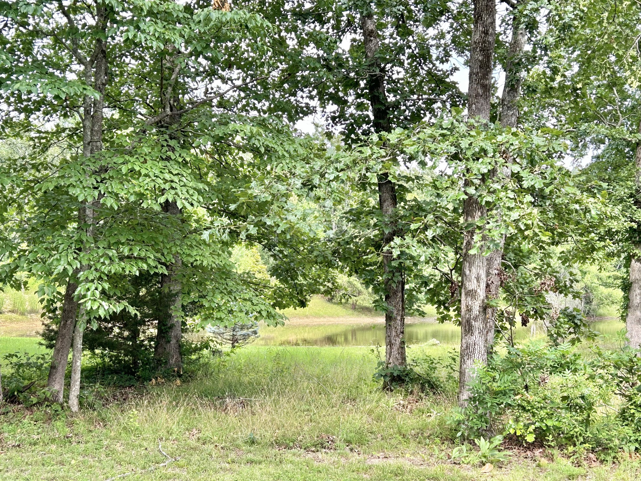 795 Cat Creek Rd
