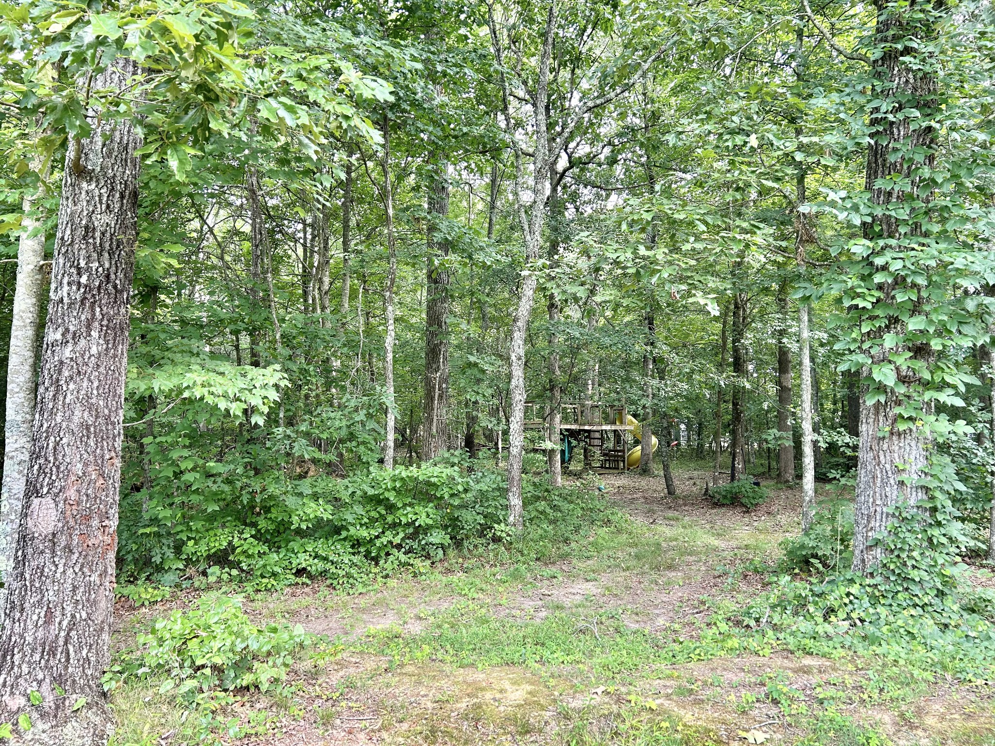 795 Cat Creek Rd