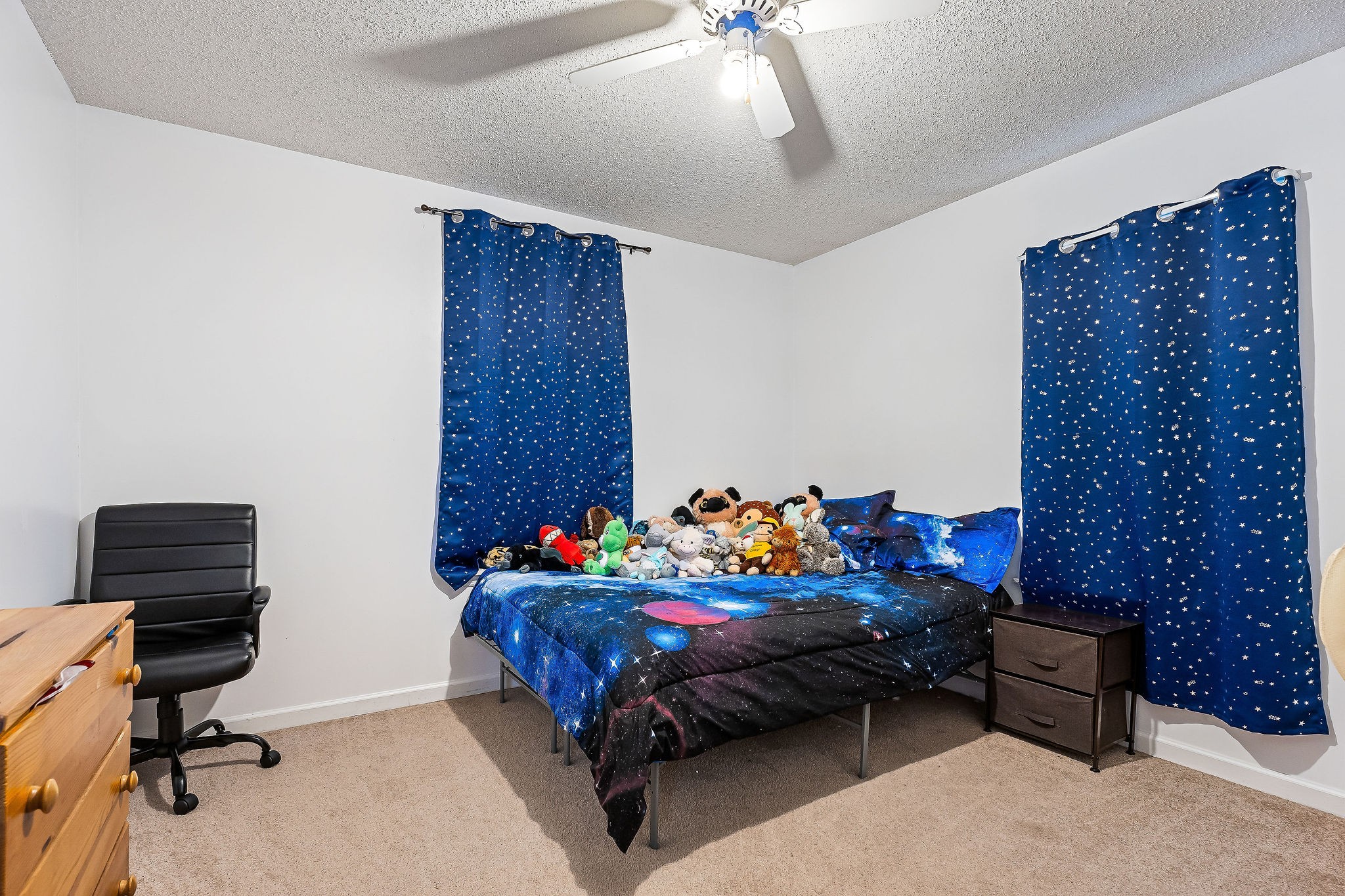 115 Windy Cut St
