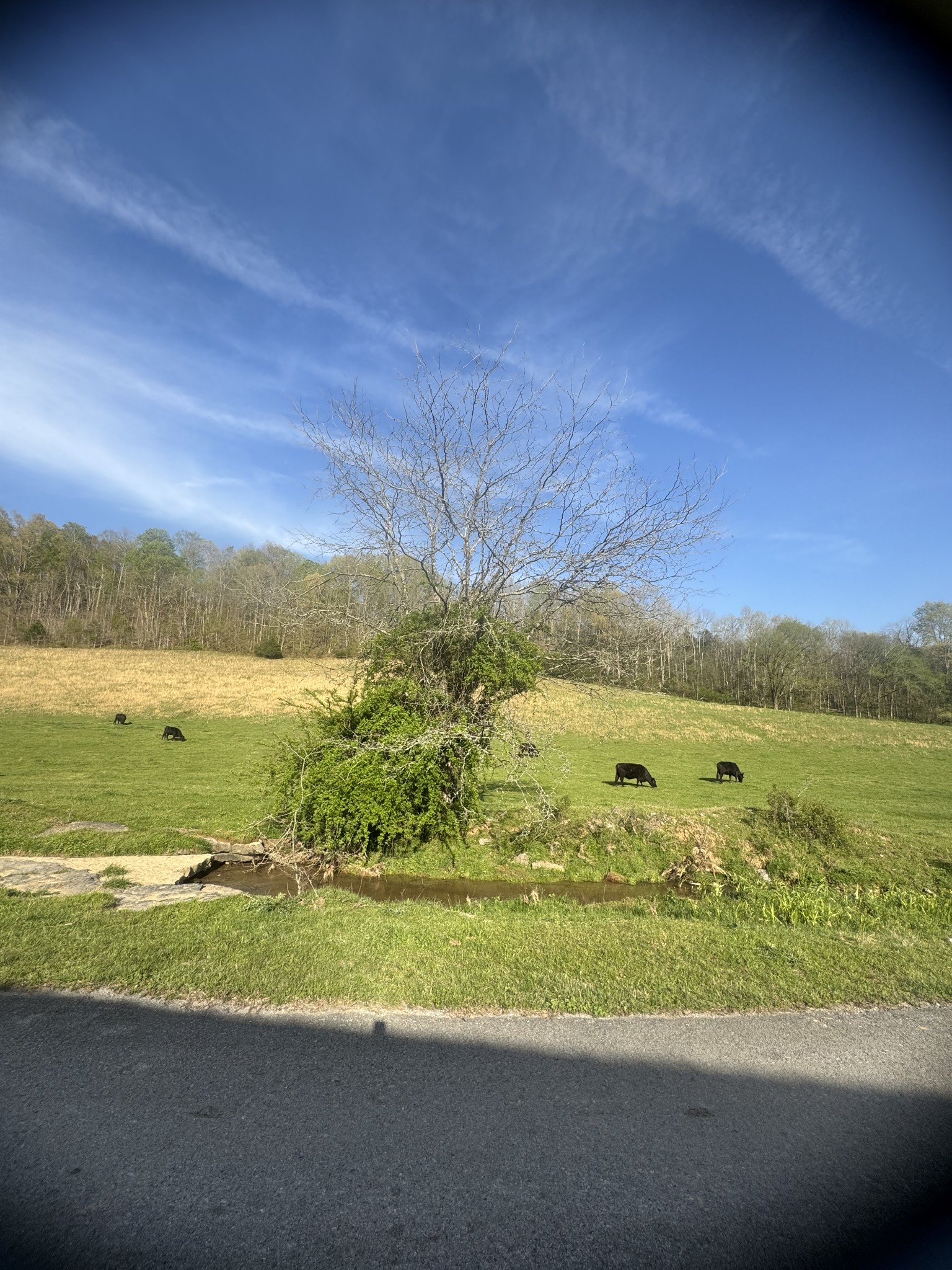 0 Tillman Hollow Road