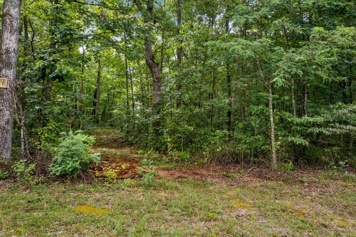0 Hanging Rock Dr