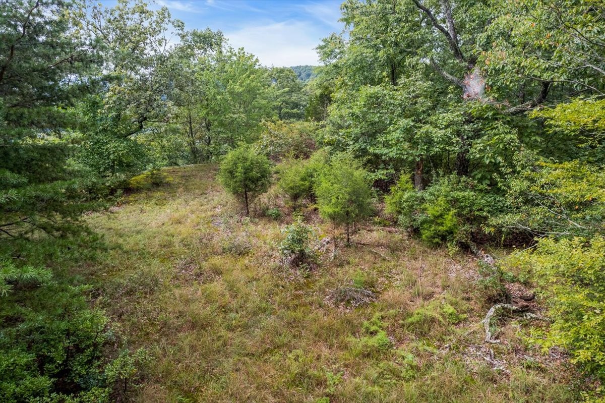 0 Hanging Rock Dr