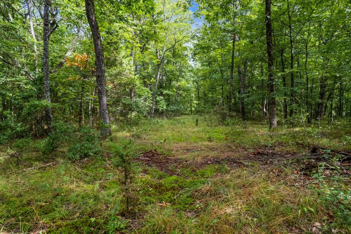 0 Hanging Rock Dr