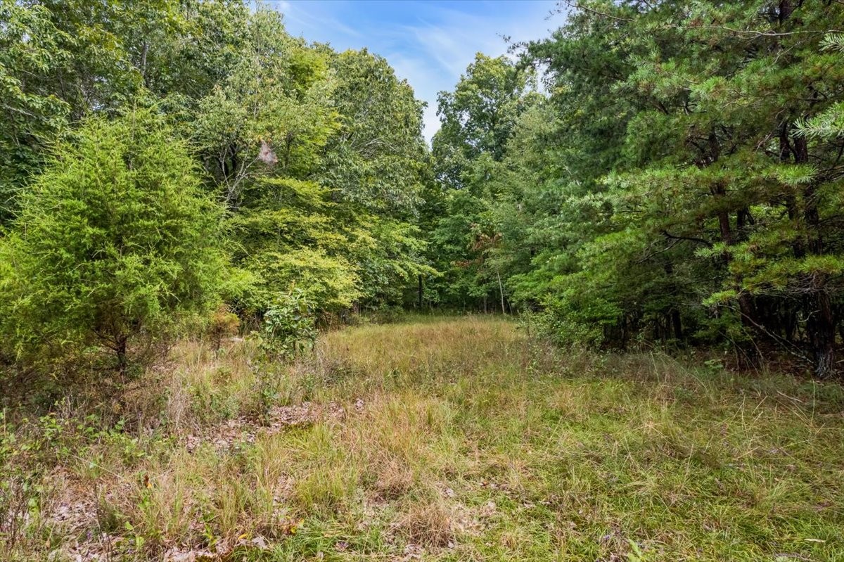0 Hanging Rock Dr