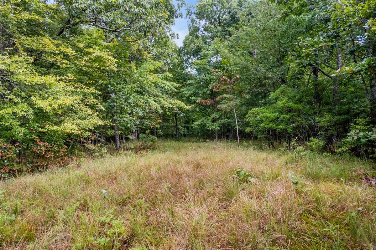 0 Hanging Rock Dr
