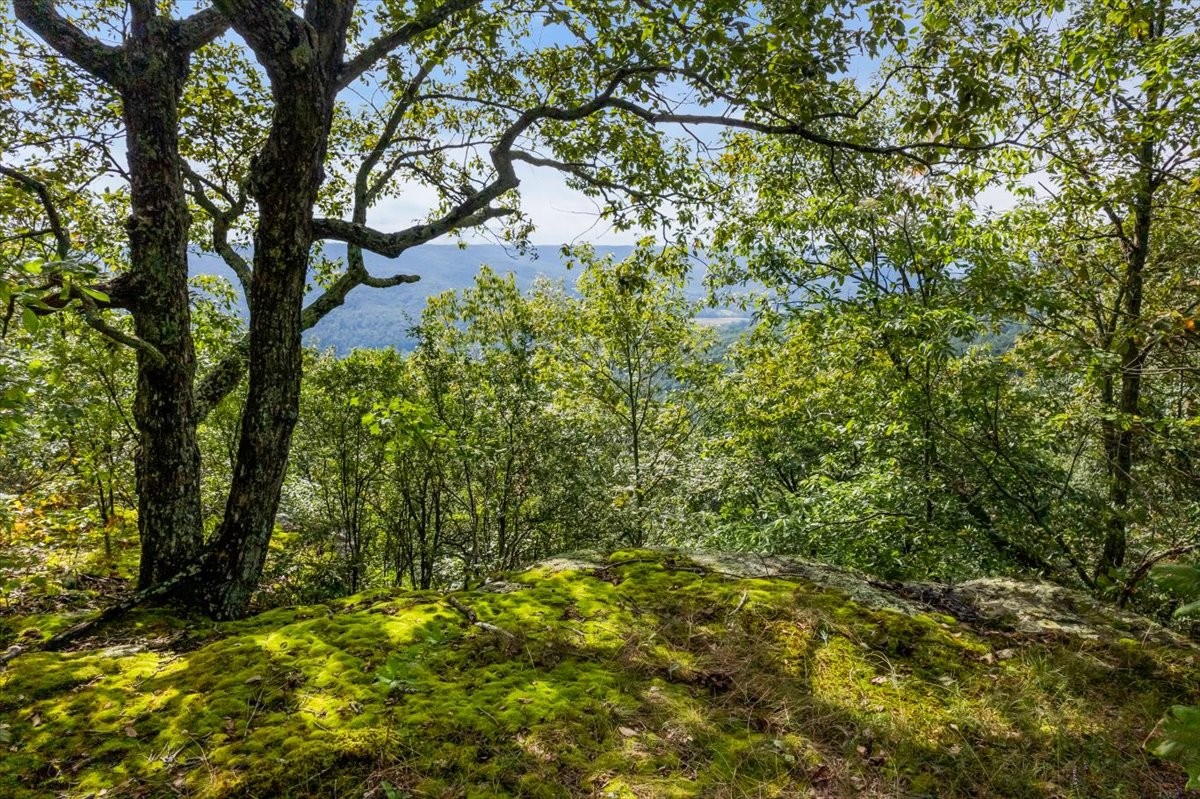 0 Hanging Rock Dr