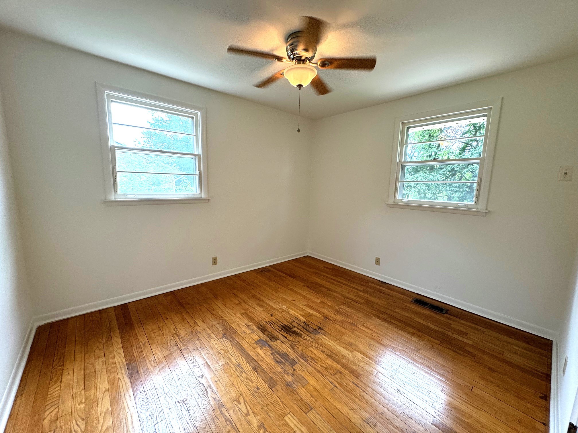 229 Shawn Dr