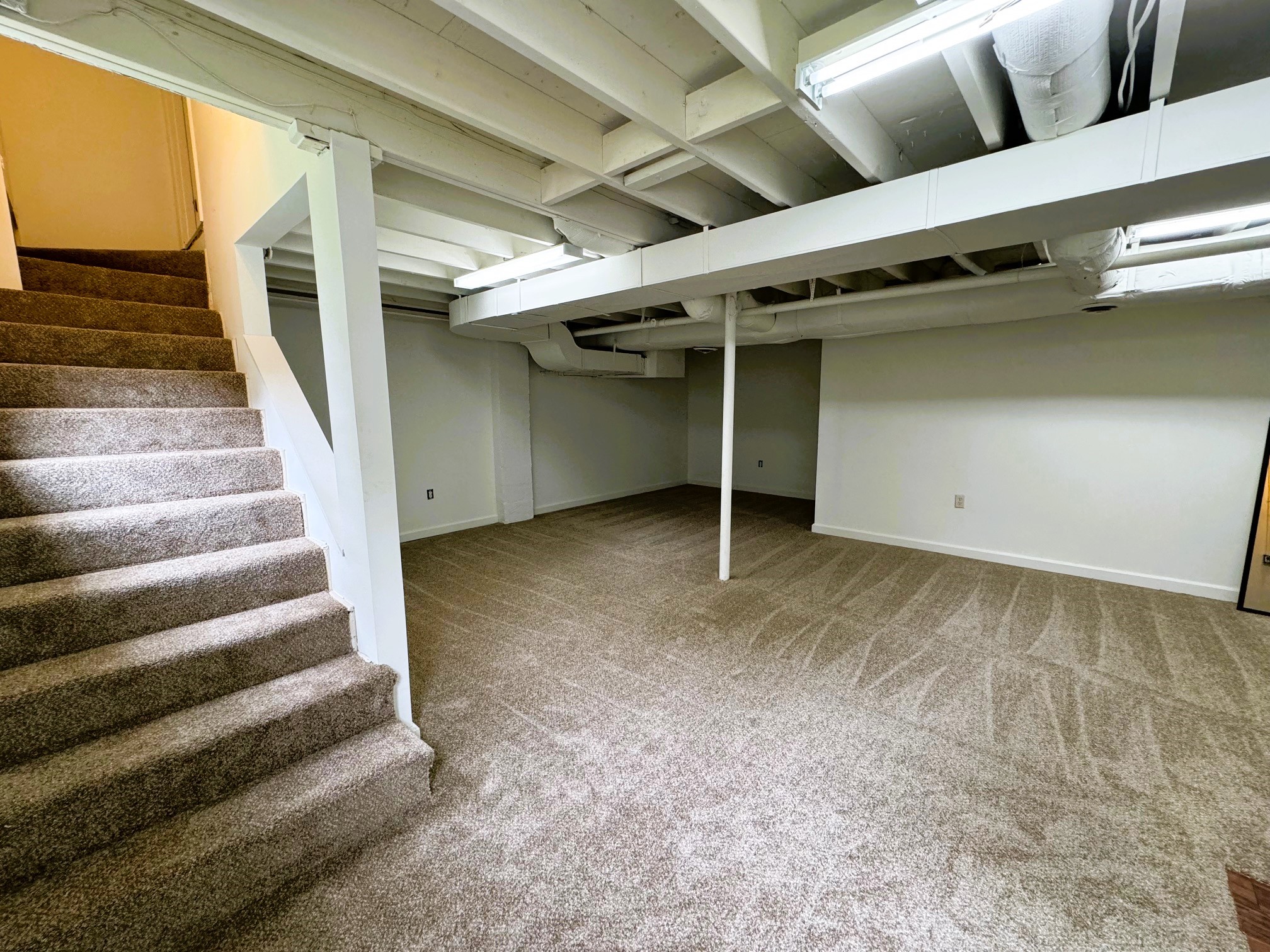 229 Shawn Dr
