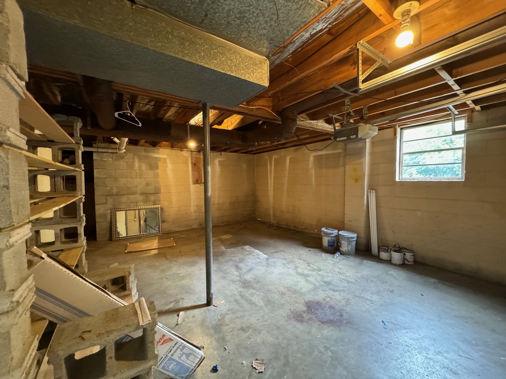 229 Shawn Dr