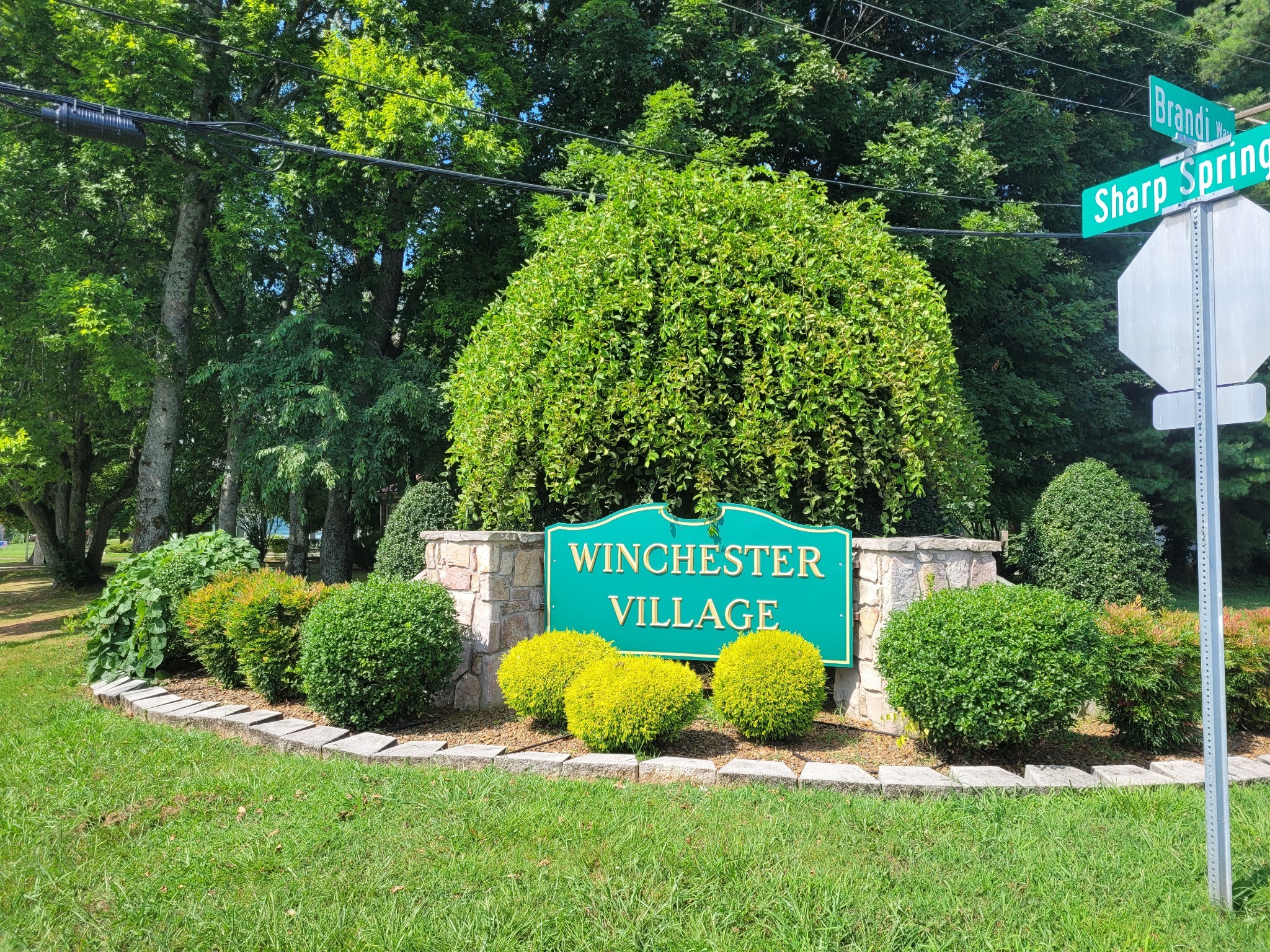 148 Brandi Way