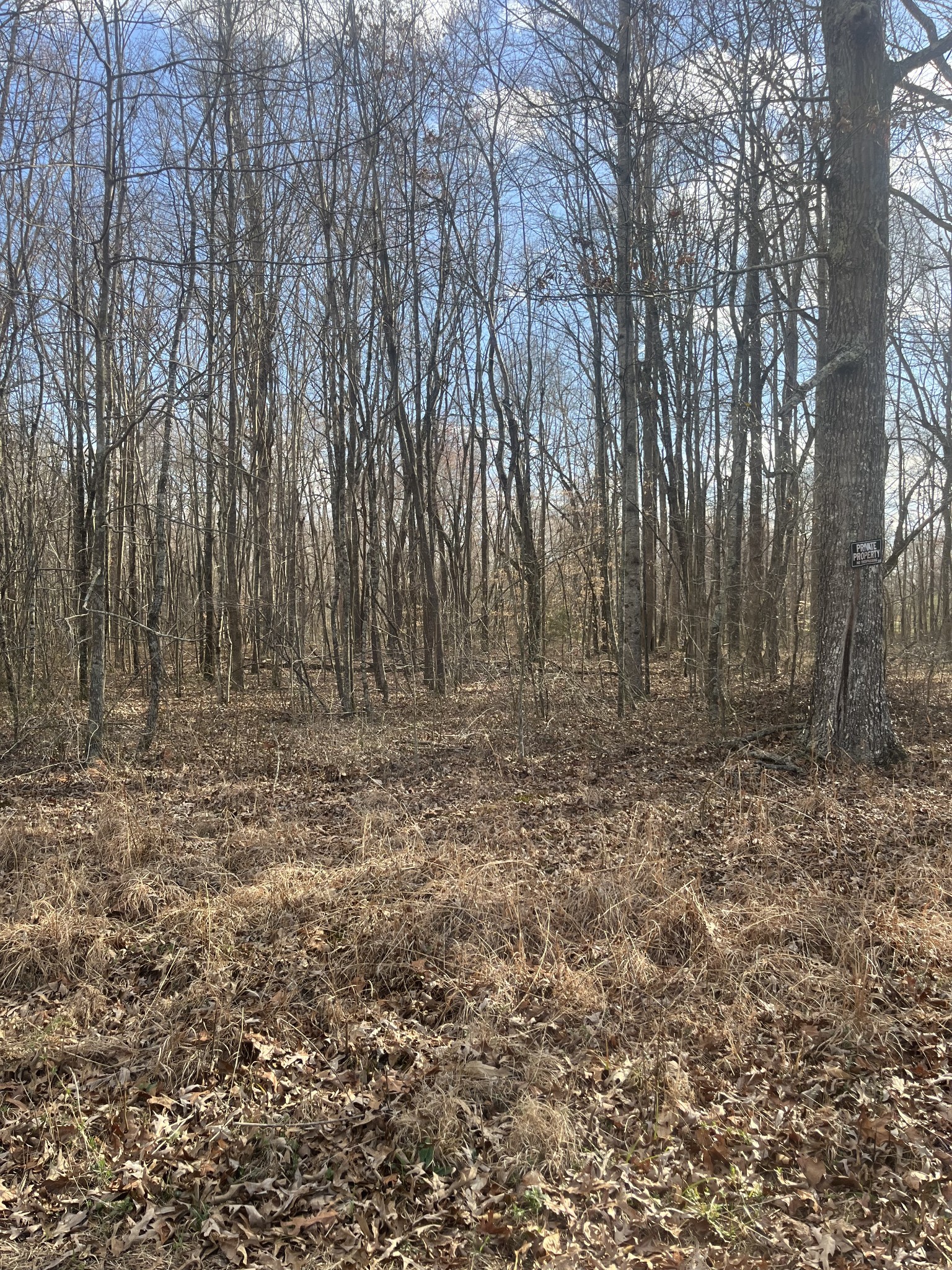 0 Boynton Valley Rd