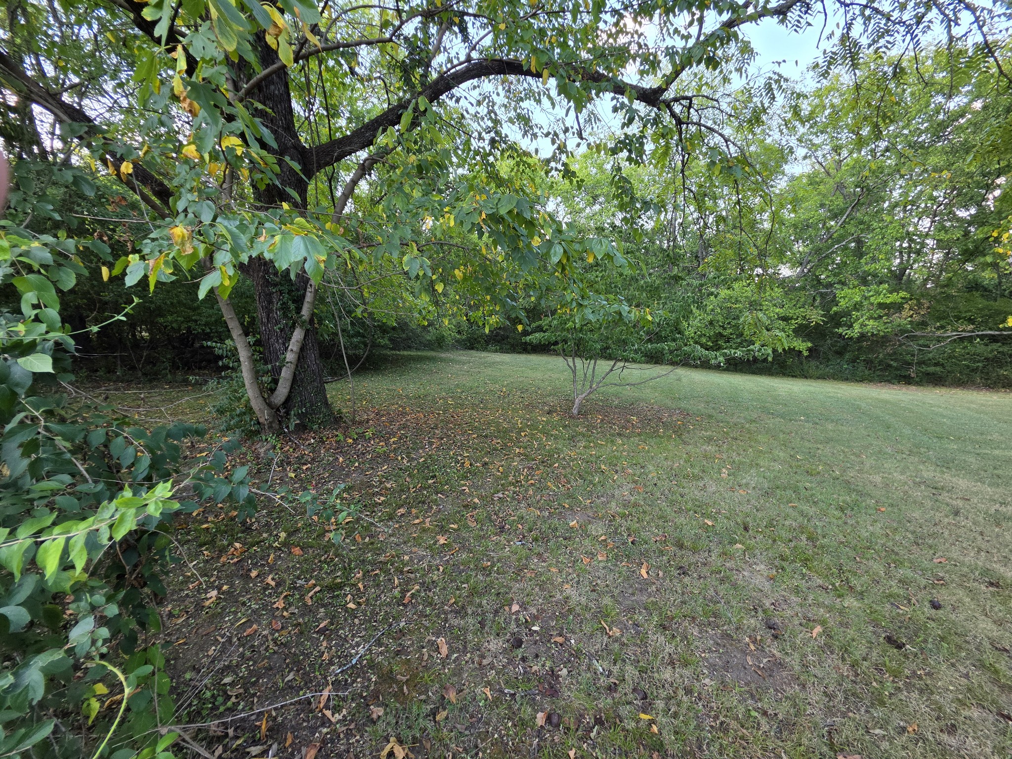 322 E Campbell Rd