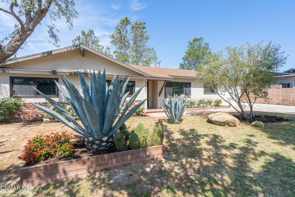 3207 Greenville Avenue