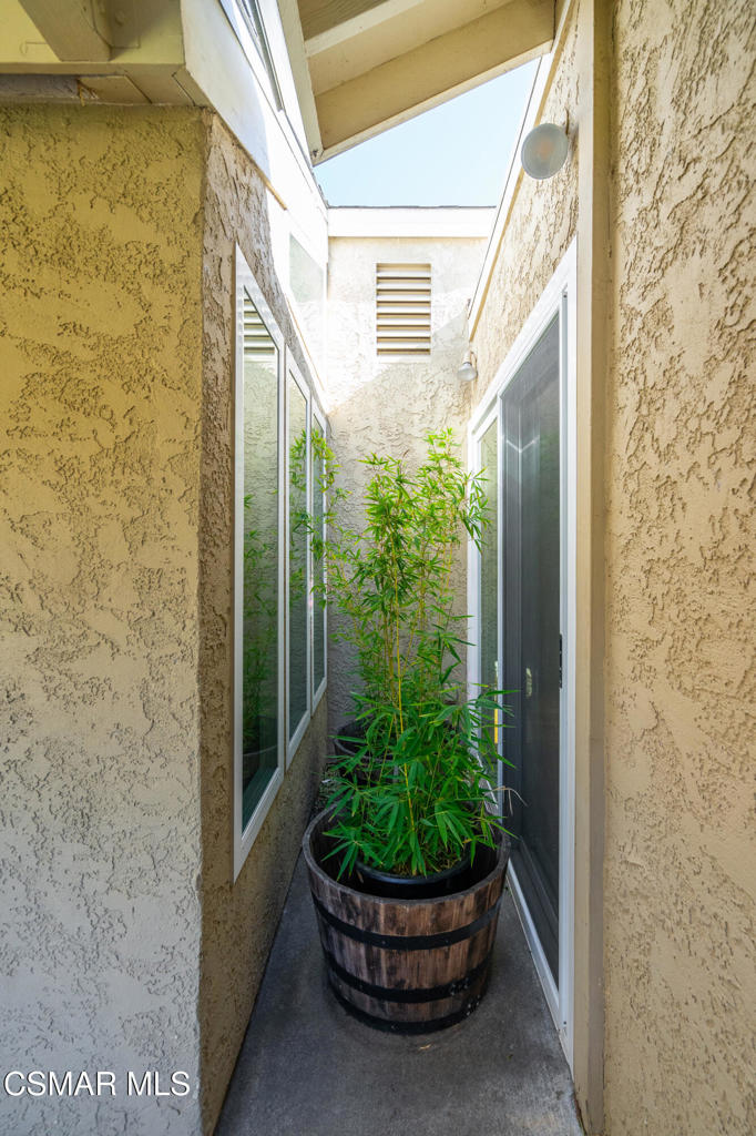 Narrow stucco courtyard passage with a glass door, skylight, and potted bamboo.