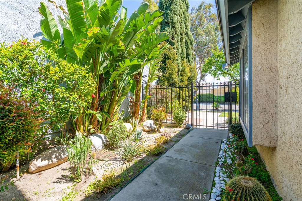 2489 Pinewood Place