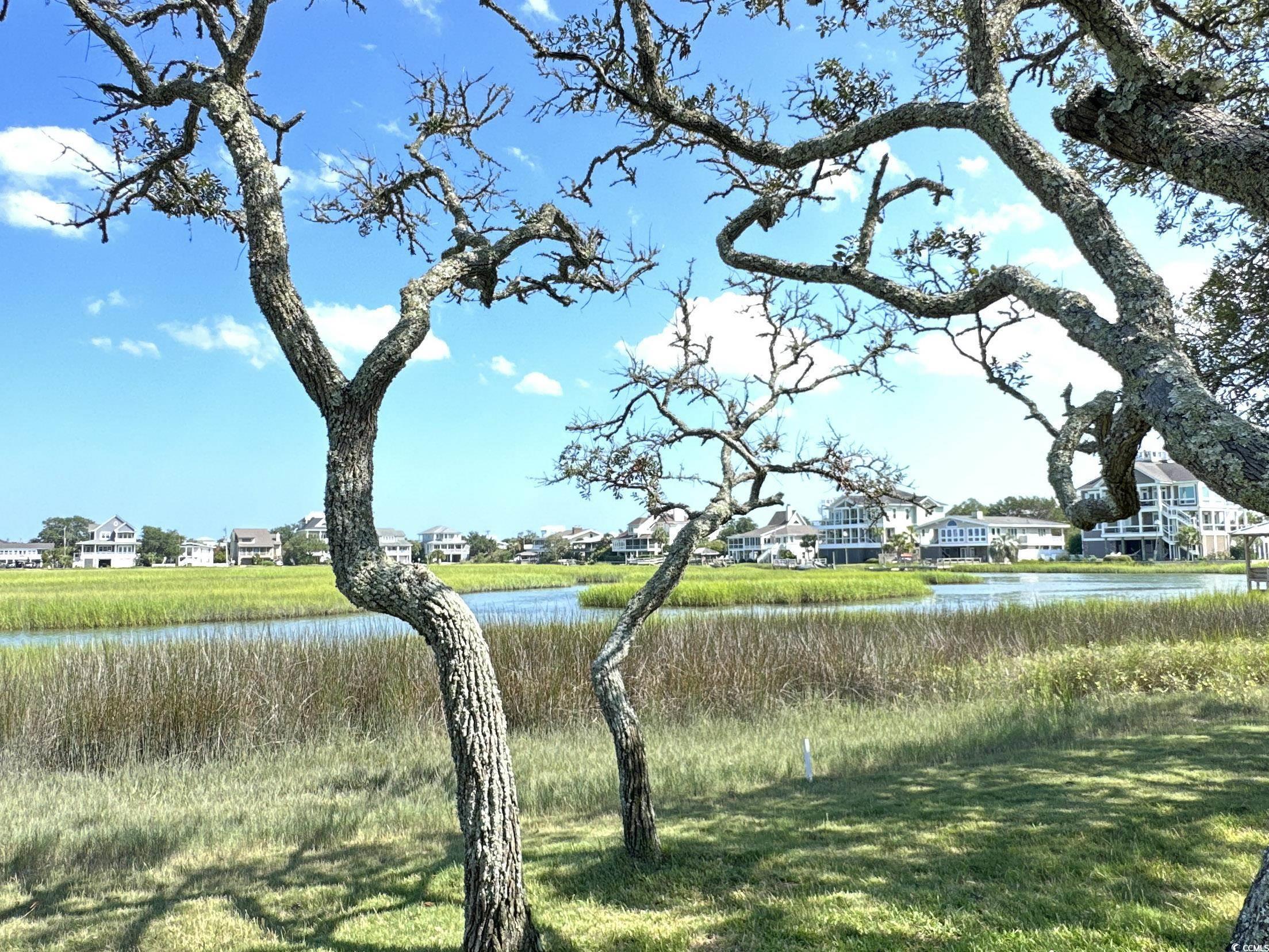 224 Salt Marsh Circle Unit: 1B