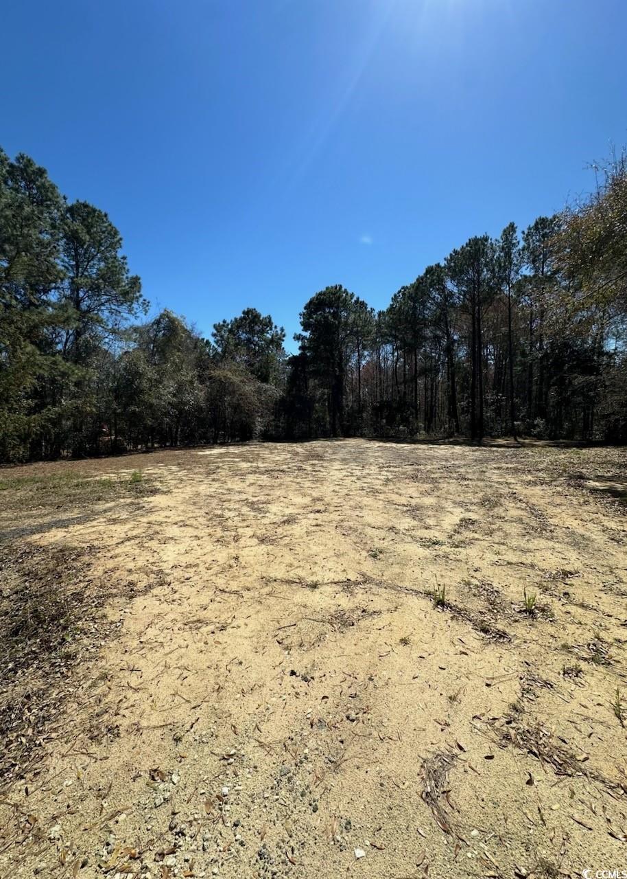 TBD Black Gum Rd.