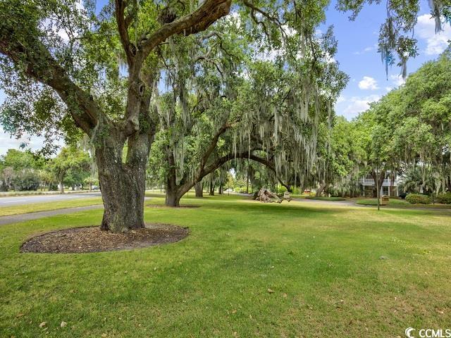 601 Retreat Beach Circle Unit: 125