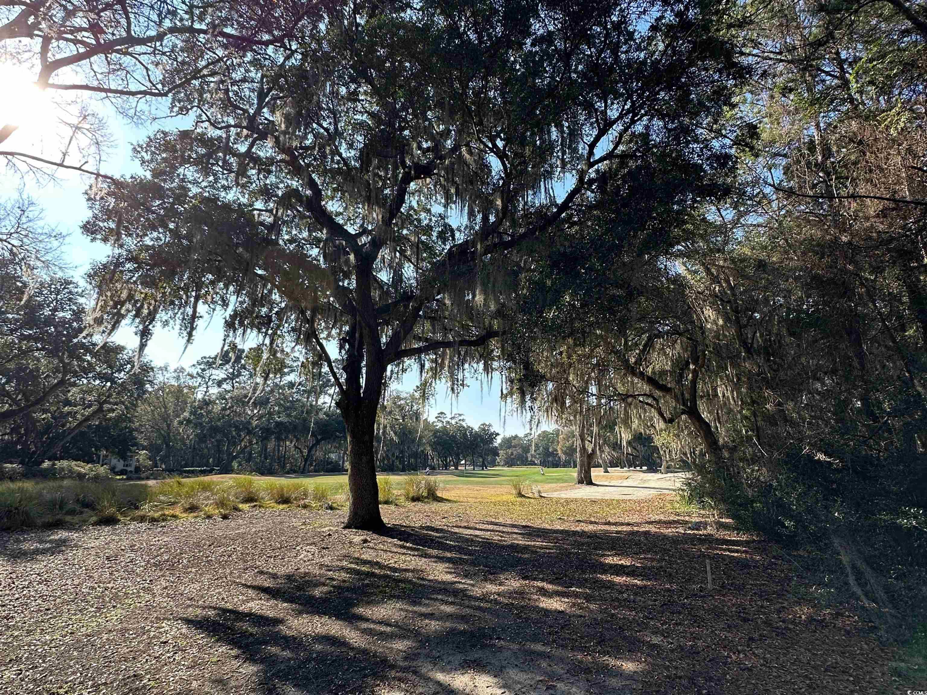Lot 173 Sanderling Ave.