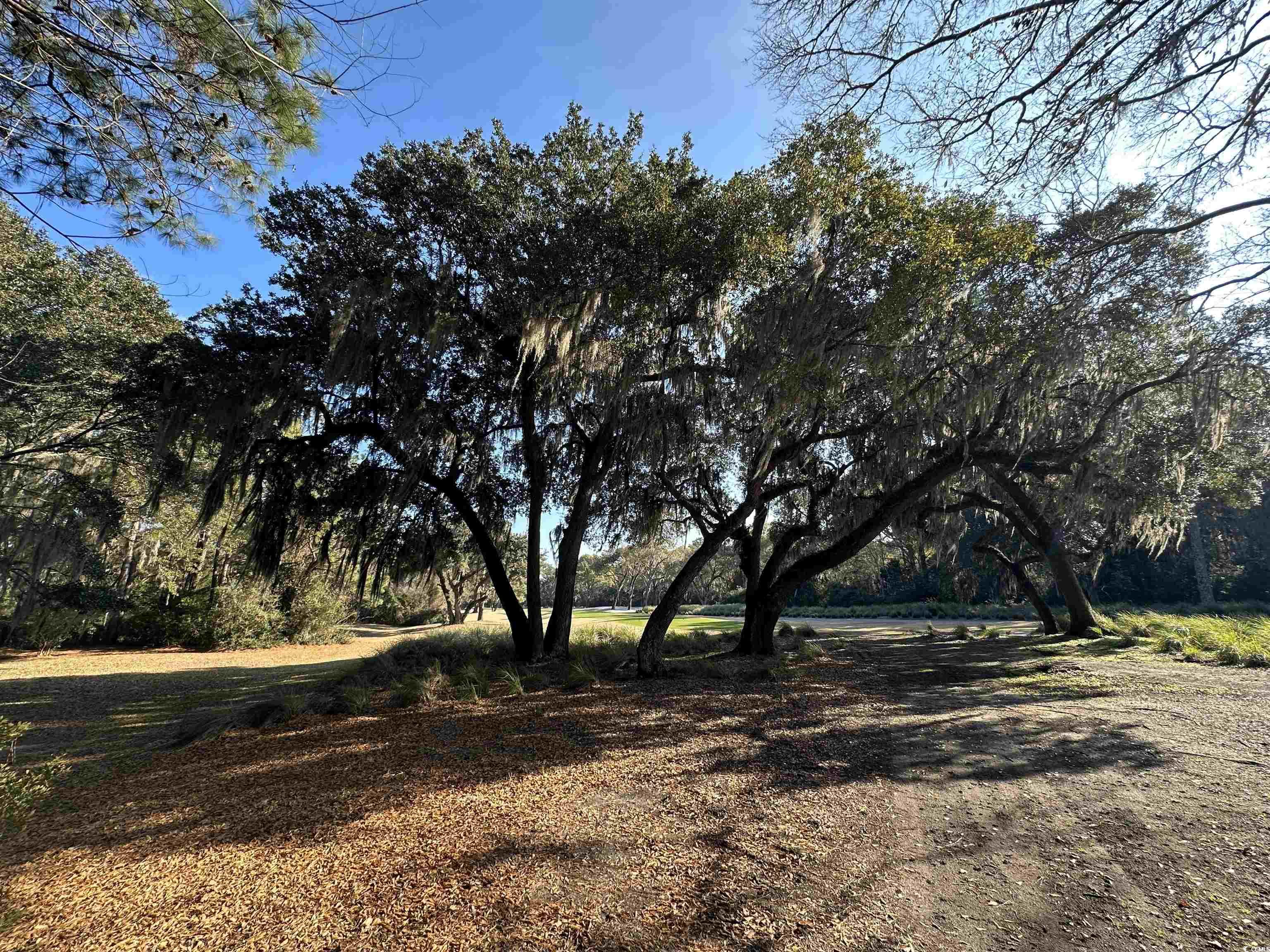 Lot 173 Sanderling Ave.